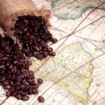 The history of coffee